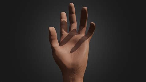 hyper detailed rigged hand  model  taumich bcec sketchfab