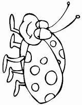 Ladybug Coloring Pages Animals Bug Bettle Color Cartoon Drawing Printable Print Kids Template Lady Kb Getdrawings sketch template