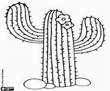 Cactus Saguaro Coloring Printable Drawing Getdrawings Game sketch template