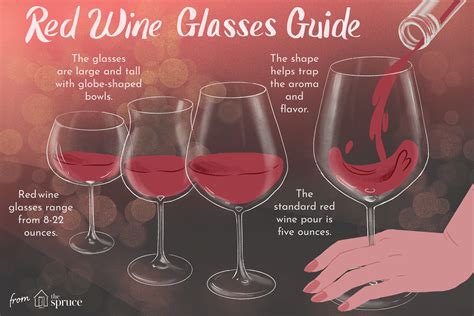 understanding red wine glass types and shapes