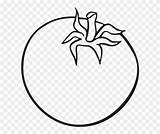 Tomato Clipart Coloring Book Pinclipart sketch template
