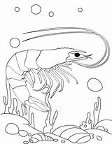 Shrimp Boat Coloring Pages Template sketch template