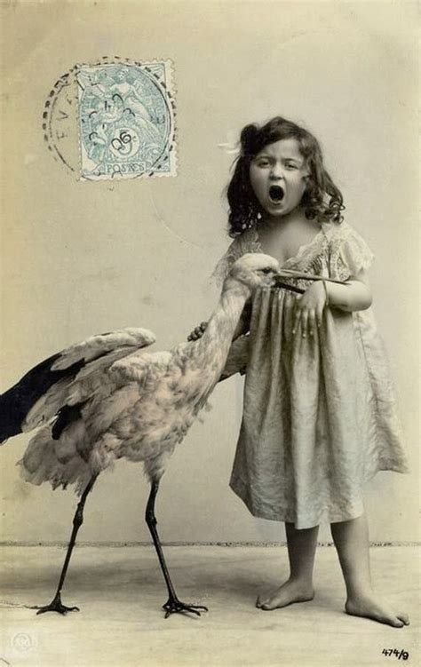 1890 Bitten By A Stork Vintage Photographs Vintage Photos Vintage