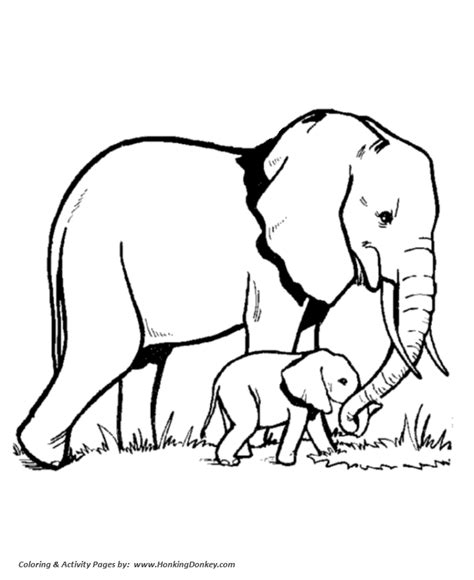 wild animal coloring pages elephant family coloring page  kids