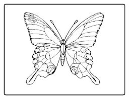 interesting facts information  coloring pages  butterflies