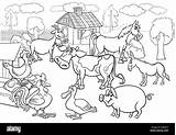 Allevamento Bianco Scena Rurale Bestiame Grosso sketch template