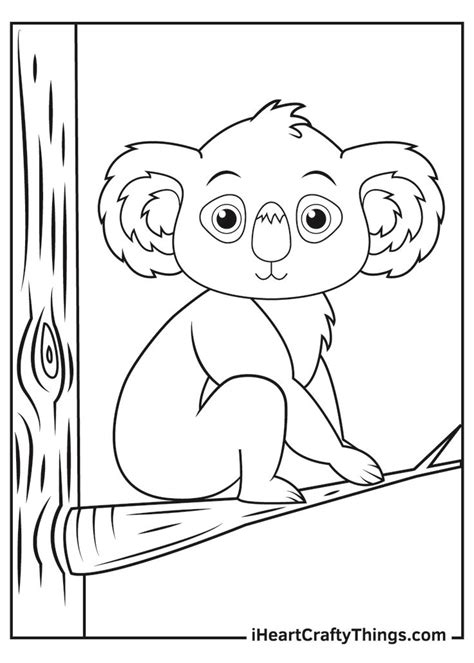 koalas coloring pages   koala coloring pages coloring pages