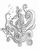 Seahorse Coloring Getdrawings Print Pages sketch template