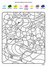 Oiseaux Magique Coloriages Chiffres Tidou Magiques Jeux Dory Quadrillage Gratuits sketch template