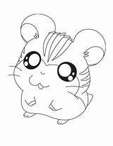 Coloring Chinchilla Pages Color Printable Animals Print sketch template