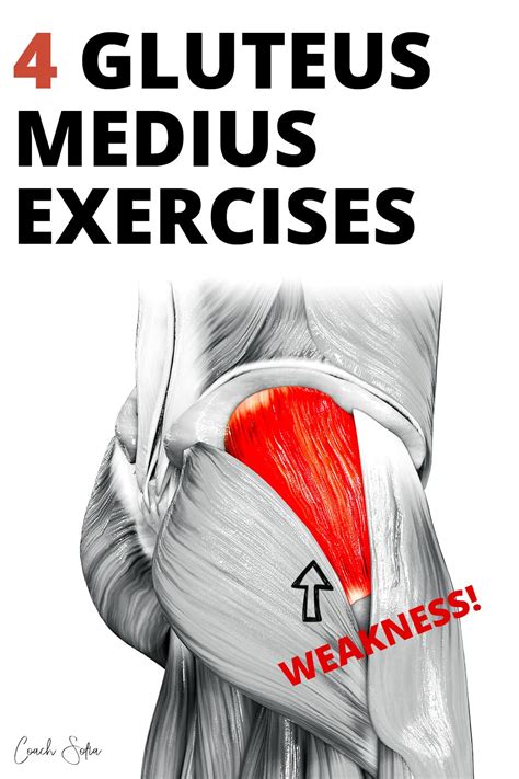 4 amazing gluteus medius strengthening exercises in 2021 hip workout