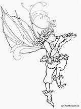 Coloring Pages Fairy Mcfaddell Mandala Artist sketch template