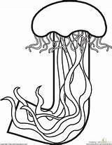 Jellyfish Phonics Clipartmag Jaguar Castillo Garrix sketch template