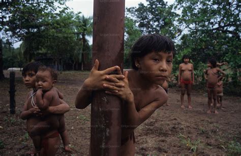 Yanomami Indians Amazon Brazil Nigel Dickinson
