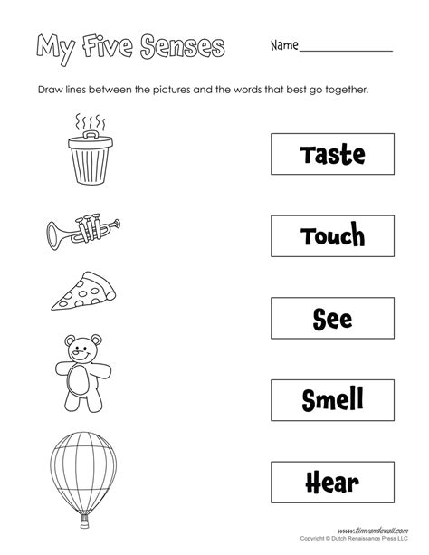 printable  senses worksheet tims printables