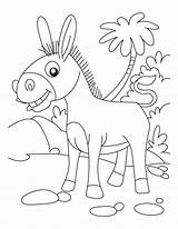 Donkey Ane Esel Donkeys Ausmalbilder Heureux Printable Superbe Palm Malvorlagen Smartest Mewarnai Bestcoloringpages sketch template