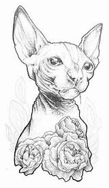 Sphynx Cat Tattoo Coloring Adult sketch template