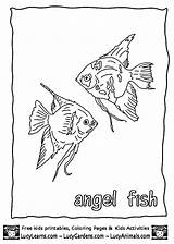 Coloring Pages Fish Animal Angel Book Tropical sketch template