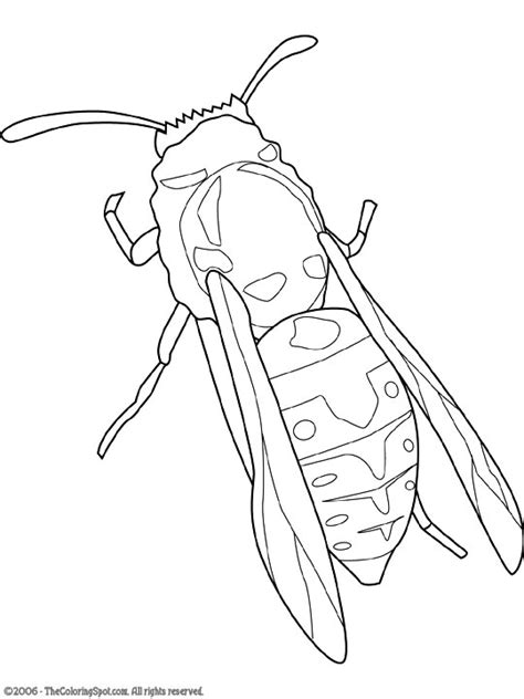 yellow jacket coloring page audio stories  kids  coloring