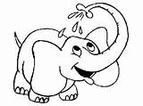 Elephant Coloring Pages Printable Kids Animal Elepant sketch template