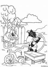 Coloring Pages Baby Tunes Printable Taz Sylvester Looney Cat sketch template