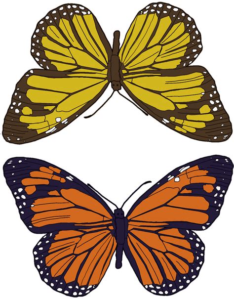 butterfly pattern  colin bentham  deviantart