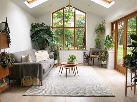 indoor garden ideas  create  serene  vibrant oasis