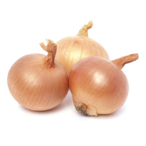 onions brown kg prepack