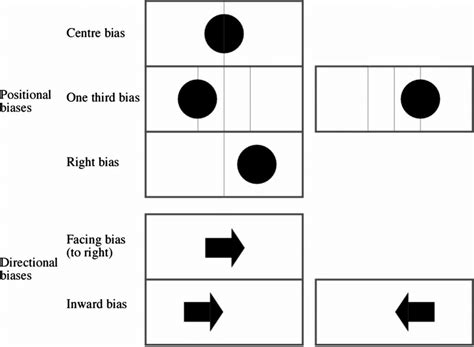 summary  biases based   literature divided  positional