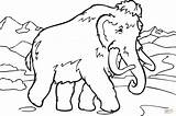 Mammut Mammoth Coloring Ausmalbild Kostenlos Ausdrucken Woolly sketch template