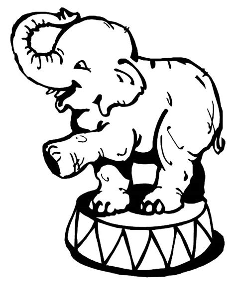 beautiful circus elephant coloring pages  place  color