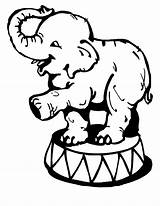 Circus Elephant Coloring Pages Beautiful sketch template