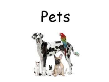 pets pets preschool pets emergent readers