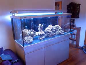 Gallery Custom Built Tanks Living Reef Aquatics