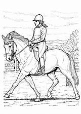 Coloring Riding Horse Horseback Back Large sketch template