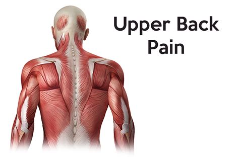 upper  pain whats causing  top   spine  hurt