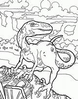 Velociraptor Dinosaur Kolorowanki Raptor Dinosaurs Colorare Dinosauro Dzieci Dinosauri Disegni Deinonychus Bestcoloringpagesforkids Scalando Montagna Sta sketch template