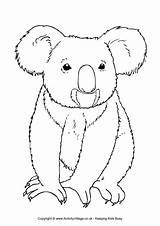 Koala Colouring Australian Animal Animals Pages Coloring Australia Drawing Templates Outline Drawings Activityvillage Aussie Printable Bear Colour Cute Koalas Craft sketch template