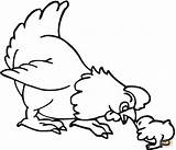 Coloring Pages Hen Chick Baby Printable Drawing Animals sketch template