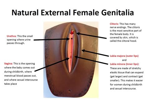 Nana Podungge S Simple Thought Female Genital Mutilation