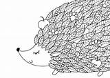 Hedgehog Antistress Zentangle sketch template