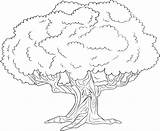 Coloring Pages Plants Trees Flowers Getcolorings sketch template