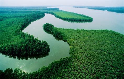 major rivers  nigeria  top  nigerian finder
