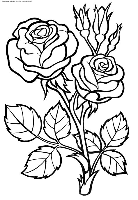 rose coloring pages flower coloring pages easy coloring pages