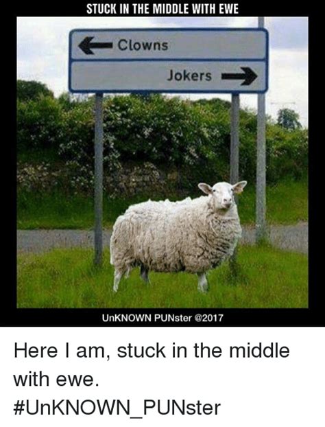 Stuck In The Middle With Ewe Clowns Jokers Sa Unknown
