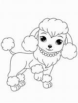Poodle Coloring sketch template