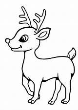 Rudolph Reindeer Nosed Rentier Renos Momjunction Tulamama Bebé Malvorlagen Noel sketch template