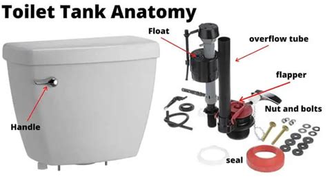 parts   toilet tank toilet tank anatomy twimbow