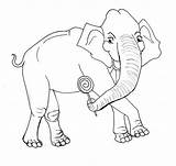 Elefant Colorat Desene Elephant Planse sketch template
