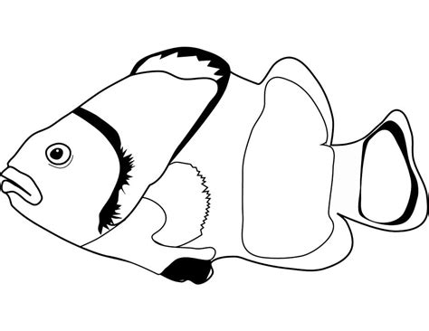 clownfish coloring page  printable coloring pages coloring